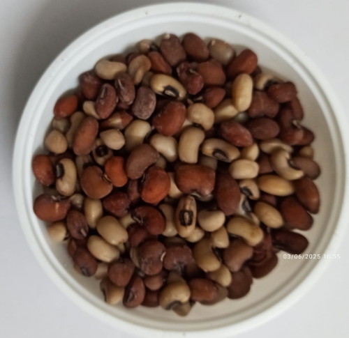 Mixed Sundal